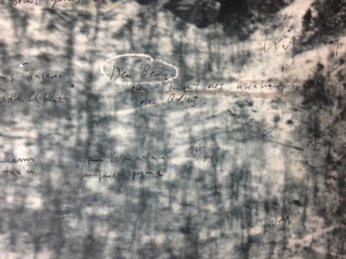 "Bergbild"Detail,Photoradierung,Öl,Zeichnung2015